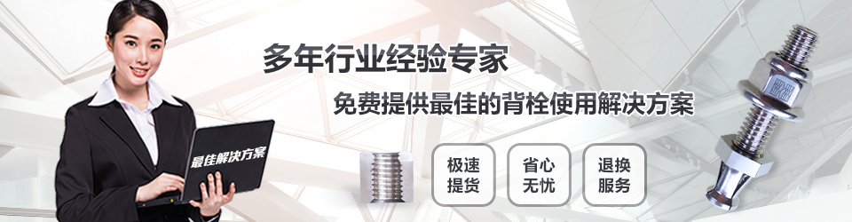 上海鑫鱼免费提供最佳背栓解决方案